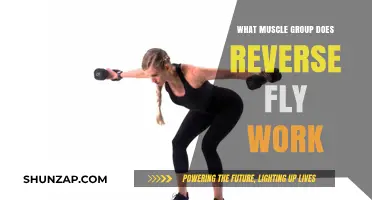 Reverse Fly Workout: Targeting Upper Back and Shoulder Muscles