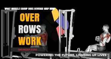 Reverse Grip Bent Over Rows: Targeted Muscle Groups Explained