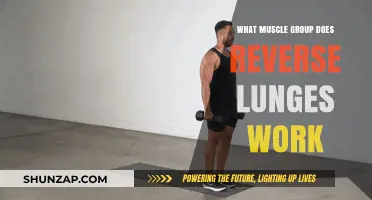 Reverse Lunges: Targeting Quadriceps, Glutes, and Core Muscles Effectively