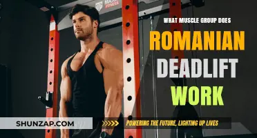 Romanian Deadlift: Targeting Hamstrings, Glutes, and Core Muscles Effectively