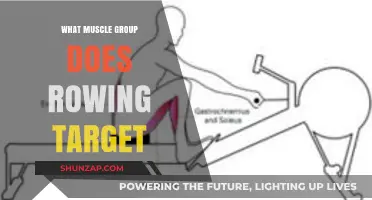 Rowing's Full-Body Benefits: Targeted Muscle Groups Explained