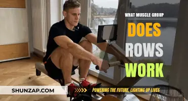 Rowing for Strength: Targeted Muscle Groups in Every Row Exercise