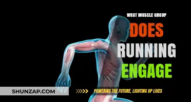 Running's Muscle Power: Unveiling the Key Groups in Motion