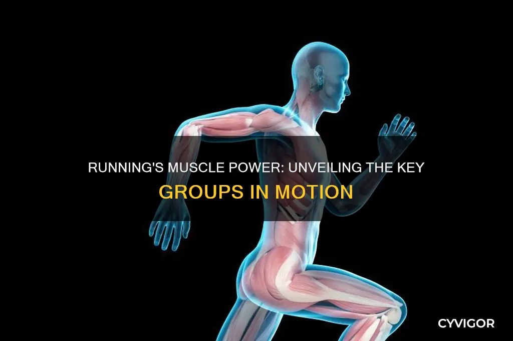 what muscle group does running engage