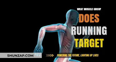 Running's Impact: Key Muscle Groups Targeted and Strengthened
