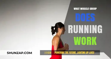 Running's Impact: Key Muscle Groups Strengthened by Every Stride