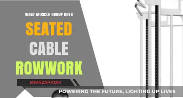Seated Cable Row: Targeted Muscle Groups and Workout Benefits