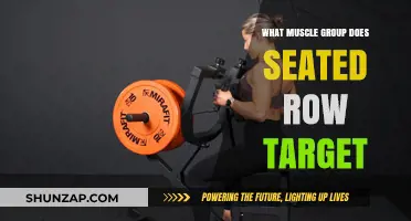 Seated Row Workout: Targeted Muscle Groups and Benefits Explained