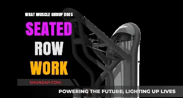 Seated Row Workout: Targeting Back, Shoulders, and Core Muscles