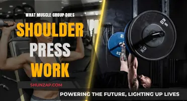 Shoulder Press Workout: Targeting Muscles for Strength and Definition