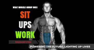 Sit-Ups: Targeting Core Muscles for Strength and Stability