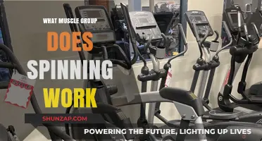 Spinning's Muscle Benefits: Targeting Lower Body and Core Strength