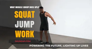 Split Squat Jumps: Targeted Muscle Groups and Benefits Explained