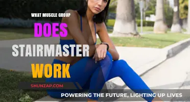 StairMaster Workout Benefits: Targeted Muscle Groups and Fitness Gains
