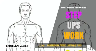 Step Ups: Targeting Lower Body Muscles for Strength and Tone