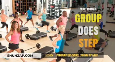 Step Workouts: Targeting Muscle Groups for Effective Lower Body Strength