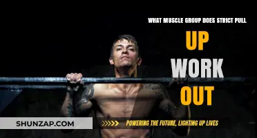 Strict Pull-Ups: Targeting Back, Arms, and Core Muscles Effectively
