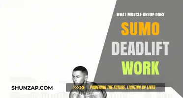 Sumo Deadlift Muscles: Targeted Groups and Strength Benefits Explained