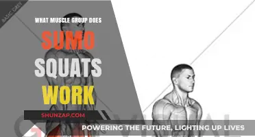 Sumo Squats: Targeting Inner Thighs, Glutes, and Core Muscles