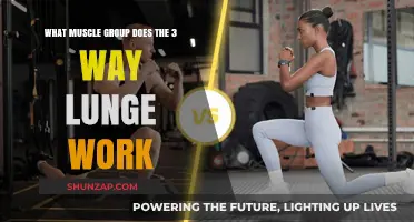 Target Multiple Muscles with the Versatile 3-Way Lunge Exercise