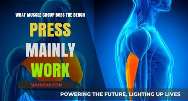 Bench Press Benefits: Targeting Chest, Shoulders, and Triceps Effectively