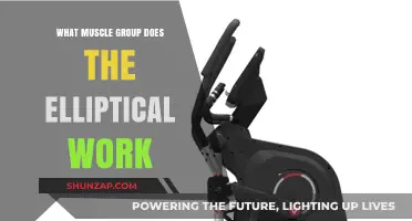 Elliptical Workout Benefits: Targeted Muscle Groups Explained