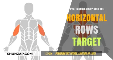 Targeted Muscles in Horizontal Rows: A Comprehensive Guide