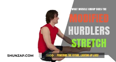 Modified Hurdlers Stretch: Targeting Hamstrings, Calves, and Hip Flexors