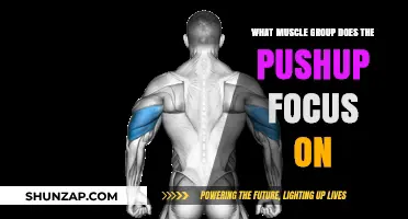 Pushup Power: Targeting Chest, Shoulders, Triceps, and Core Muscles