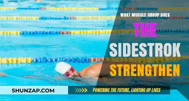 Sidestroke Swimming: Targeted Muscle Groups and Strengthening Benefits