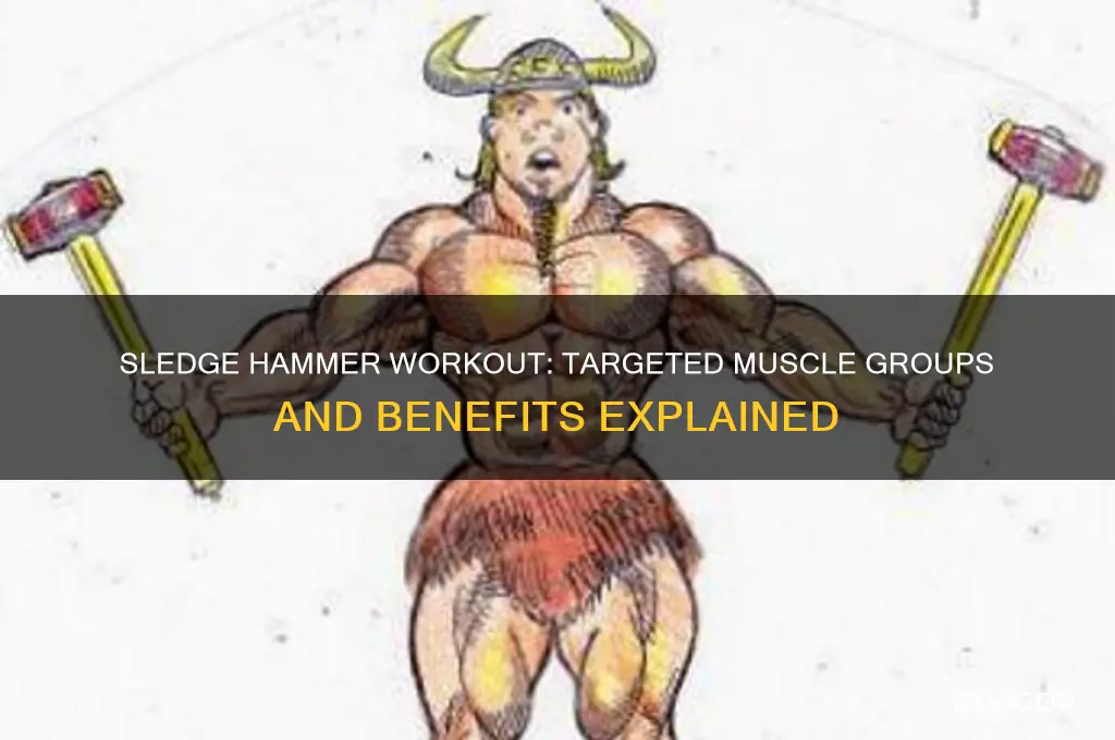 what muscle group does the sledge hammer exercise work