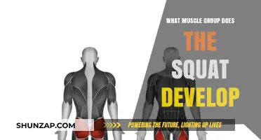 Squat Benefits: Targeted Muscle Groups for Strength and Toning