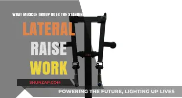 Standing Lateral Raise: Targeting Shoulder Muscles for Strength and Definition