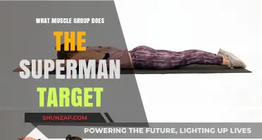Superman Exercise: Targeting Core, Lower Back, and Glute Muscles