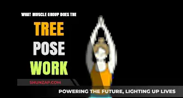 Tree Pose Benefits: Targeted Muscle Groups and Yoga Strengthening Effects