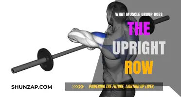 Upright Row: Targeting Shoulders, Traps, and Upper Back Muscles