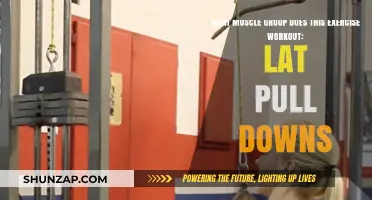 Lat Pull Downs: Targeting Back, Shoulders, and Arm Muscles Effectively