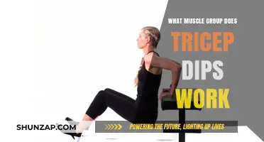 Tricep Dips: Targeted Muscle Groups and Effective Workout Benefits