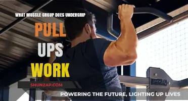 Undergrip Pull-Ups: Targeted Muscle Groups and Benefits Explained