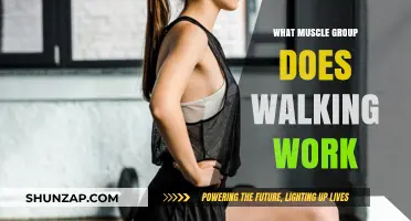Walking's Muscle Benefits: Targeted Groups and Full-Body Impact Explained