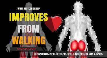 Walking's Surprising Benefits: Strengthening Key Muscle Groups Naturally