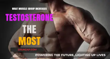 Boost Testosterone Naturally: Top Muscle Groups for Hormonal Gains
