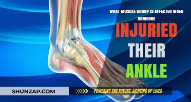 Ankle Injury Impact: Key Muscle Groups Affected and Recovery Tips