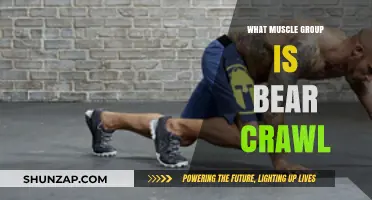 Bear Crawl Benefits: Targeting Full-Body Muscle Groups for Strength and Endurance