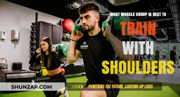 Best Muscle Groups to Pair with Shoulder Training for Optimal Results