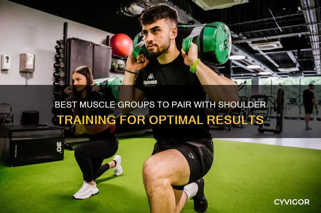 what muscle group is best to train with shoulders