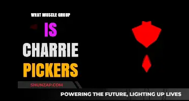 Charrie Pickers' Muscle Focus: Targeted Groups for Optimal Performance