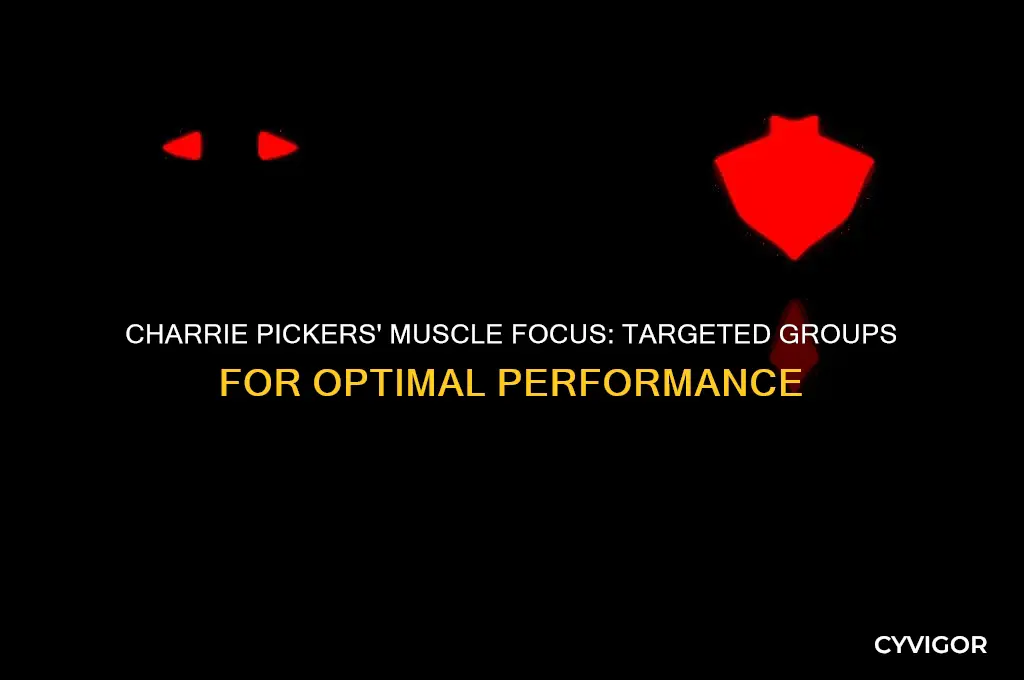 what muscle group is charrie pickers