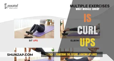 Curl Ups: Targeting Your Core Muscles for a Stronger Midsection