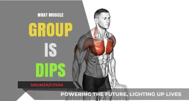 Dips Workout: Targeting Chest, Triceps, and Shoulder Muscles Effectively